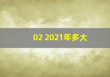 02 2021年多大